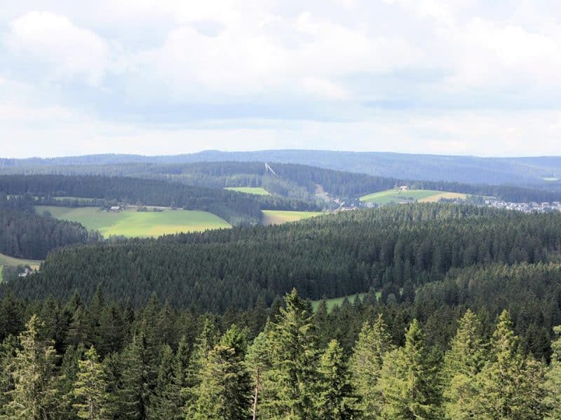 Blick vom Stöcklewaldturm