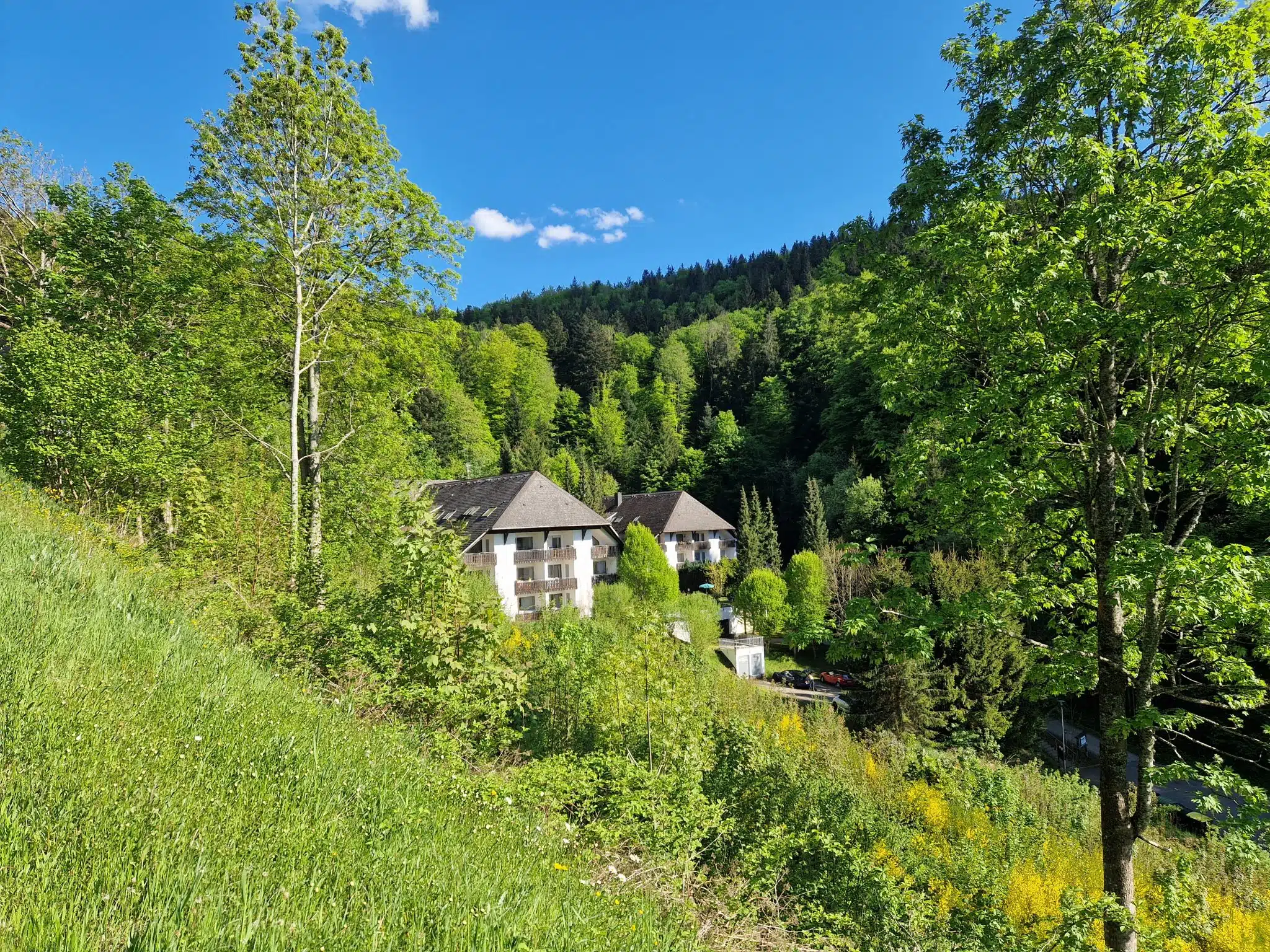 Ferienwohnung in Triberg | Schwarzwald-Urlaub mit Kind & Hund host portfolio