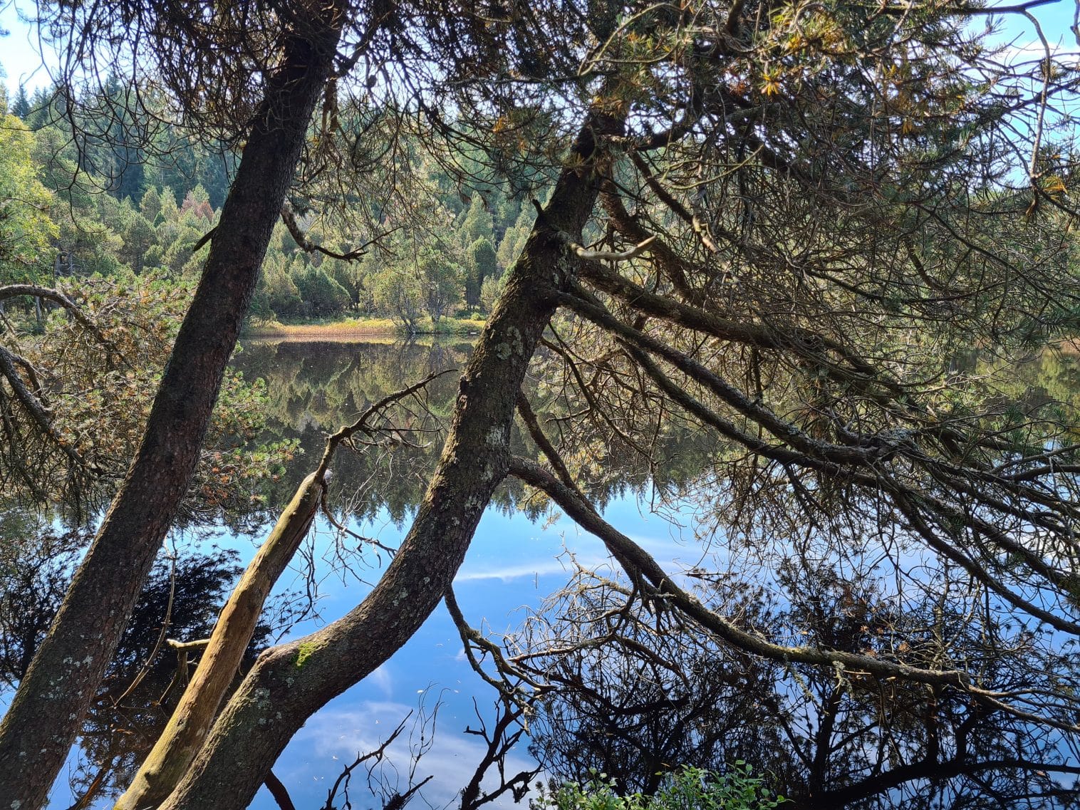 Blindensee bei Schönwald - Ein kleiner Rundweg