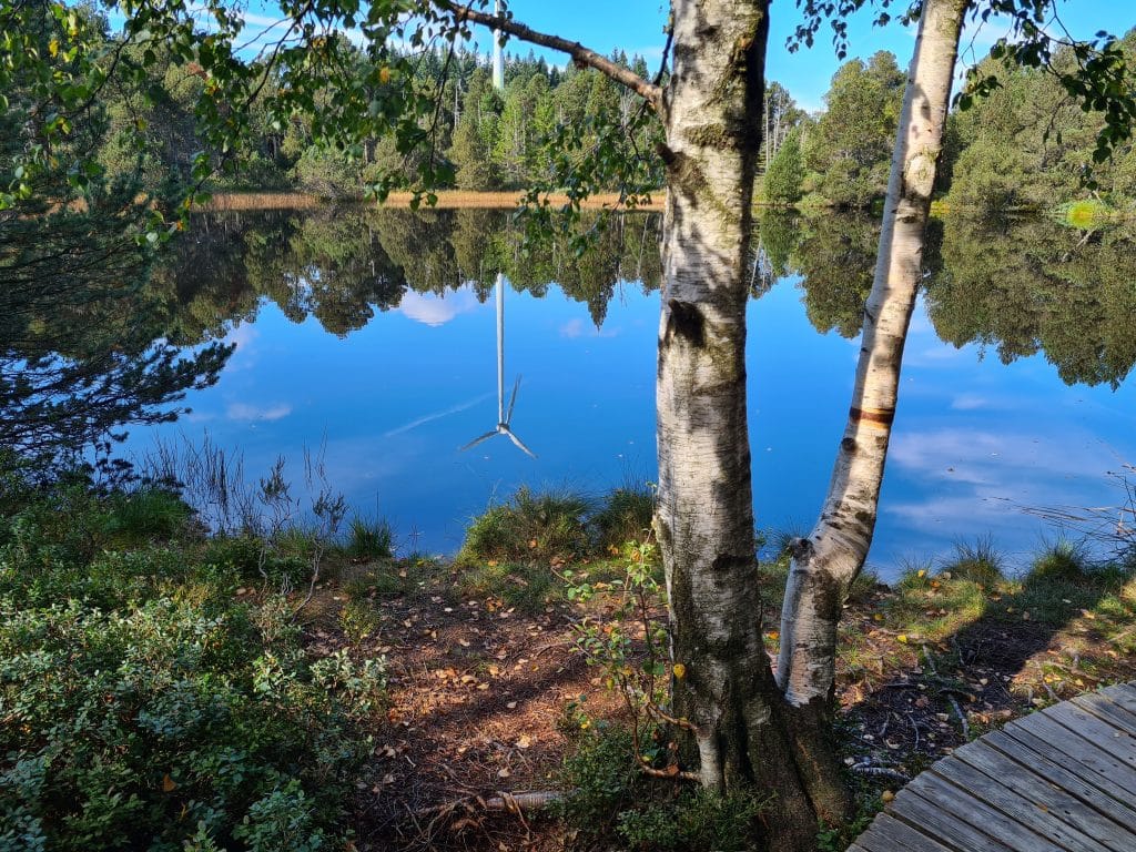 Blindensee bei Schönwald - Idyllischer Hochmoor