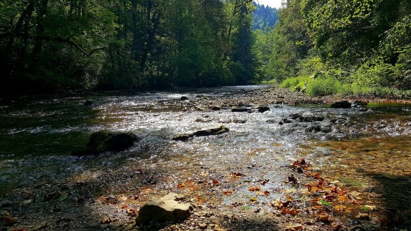 Die Wutachschlucht - Ein attraktives Ausflugsziel für Wanderer