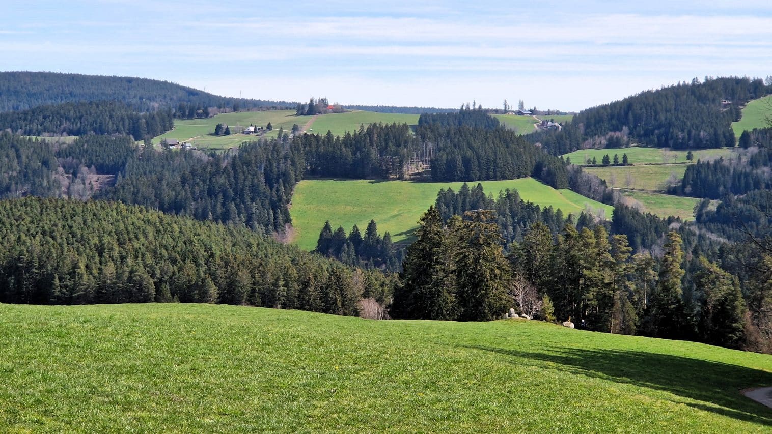 Wanderurlaub im Schwarzwald - Blick auf die Landschaft